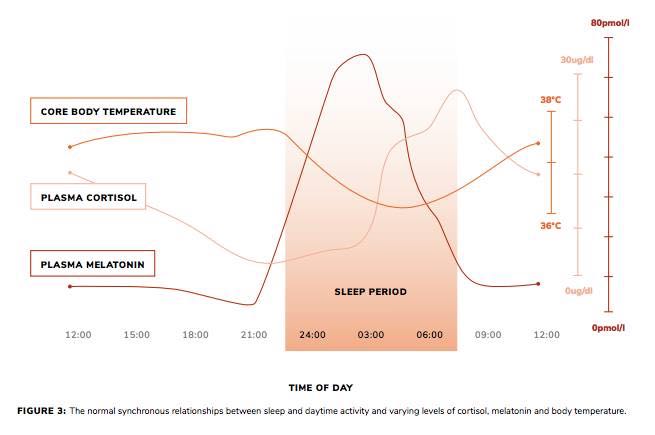 The normal synchronous relationships between sleep and daytime activity