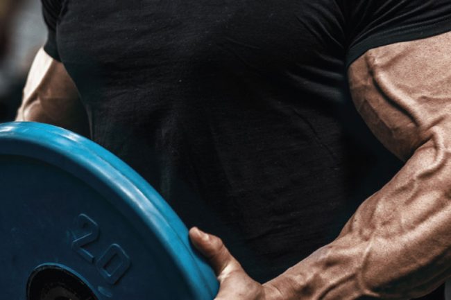 The 10 Basic Commandments of Bulding Muscle (Part 2)